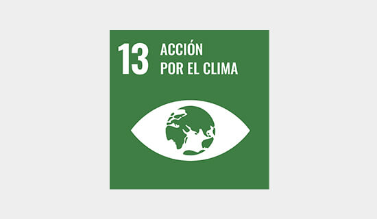 ODS 13: Acción por el clima